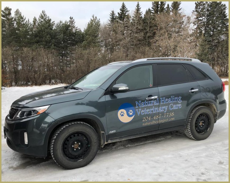 Natural Healing Vet Mobile